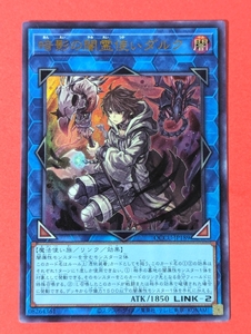 遊戯王　暗影の闇霊使いダルク　ウルトラ QCCU