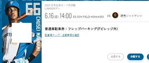 6/16es navy blue field parking ticket Japan ham Fighter z Yomiuri Giants frep parking PARKING only 6 month 16 day 