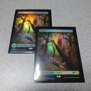 MTG SLD 森 英語foil 二枚セット Secret lair Raining Cats and Dogs シークレットレイヤー ボーダーレス 即決