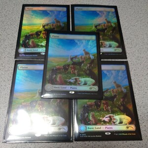 MTG SLD 平地 英語foil 五枚セット Secret lair Raining Cats and Dogs シークレットレイヤー ボーダーレス 即決