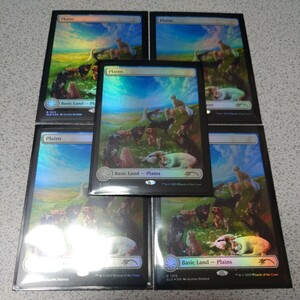 MTG SLD 平地 英語foil 五枚セット Secret lair Raining Cats and Dogs シークレットレイヤー ボーダーレス b 即決