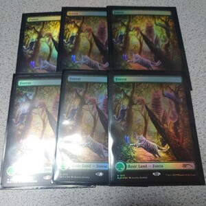 MTG SLD 森 英語foil 6枚セット Secret lair Raining Cats and Dogs シークレットレイヤー ボーダーレス 即決