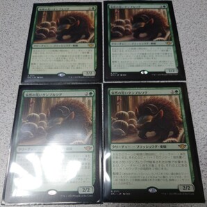 MTG OTJ 気性の荒いタンブルワグ 日本語 四枚セット サンダー・ジャンクションの無法者 即決の画像1