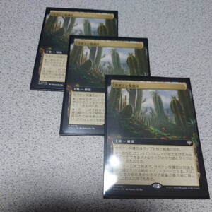 MTG OTJ サボテン保護区 日本語 三枚セット 拡張アート サンダー・ジャンクションの無法者 即決