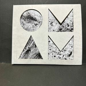 OF MONSTERS AND MEN 国内盤 CD ビニースザスキン