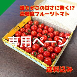 極上！高糖度フルーツトマト『ポモロッサ』ヤマトコンパクト　2箱分