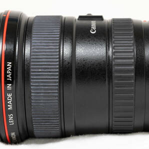 Canon EF 17-40mm F4L USMの画像9