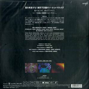 B00182476/LD/「Virtual Drug Ecstacy (完全限定プレス5000枚)」の画像2