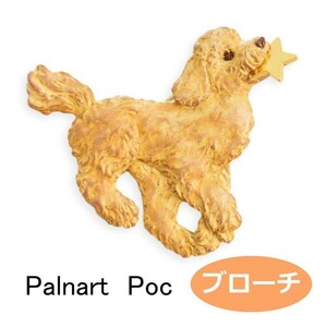 Palnart Poc