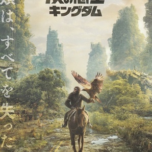 ●猿の惑星 キングダム 映画チラシ 2種 各2枚 オーウェン・ティーグ/フレイヤ・アーラン 2024年5月 洋画 フライヤーの画像2