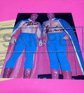  rare! Professional Wrestling autograph autograph large size photograph ji* in beige da-z/ Jose *gon The less #.. p L trimmer to blue The -*brotiWING FMW