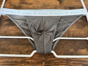 INTYMEN UNDERWEAR Natural Bikini（L）グレー　新品未使用品