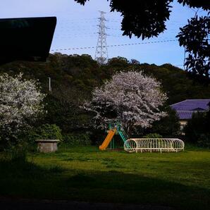 【パンケーキ】動作◎ 綺麗な写真 Ai-s Nikkor 50mm f1.8 オールドレンズの画像10