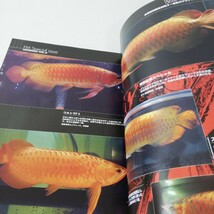 フィッシュマガジン 2005年1月号 龍魚万歳!!part2 ザ・ディスカス アジアアロワナ特集 ファーム 解剖 カタログ_画像5