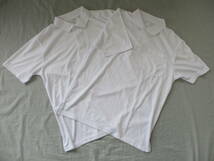 ポロシャツ　メンズ　Lサイズ　ホワイト　ハミューレ（株）　2着まとめ　ゴルフ　 _画像1