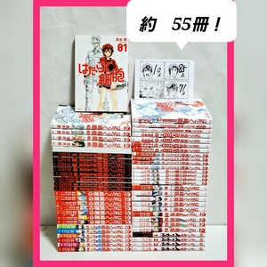 はたらく細胞　漫画　全巻　セット　清水 茜