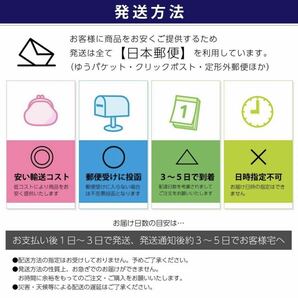 2個セット ▲ 3DS 充電器 ACアダプタ－の画像4