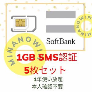 (ゆうパケット)(5枚セット)プリペイドSIM データ通信　1GB/受信可能 sms認証