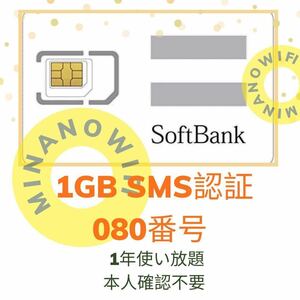 (配送ゆうパケット)プリペイドSIMカード 毎月1GB SMS受信可 データ