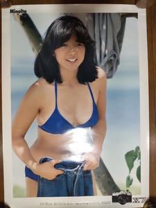 宮崎美子　ミノルタ　Ｘ-７　ポスター　１９８０年　当時もの　昭和レトロ