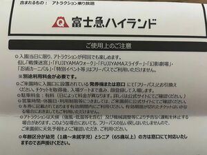 2024/6/30期限 富士急ハイランド フリーパス 大人チケット 2枚