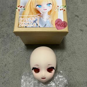 DDH 28 カスタムヘッド セミホワイト MDD ドルフィードリーム