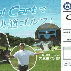 HEIWA株主優待 Cool Cart無料券 PGMの画像1