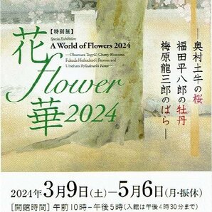 山種美術館『花 flower 華 2024』 招待券の画像1