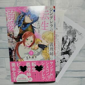 シンデレラの義理姉（あね）に転生したけどふたりの王子に溺愛されています　１ 特典 ペーパー付き