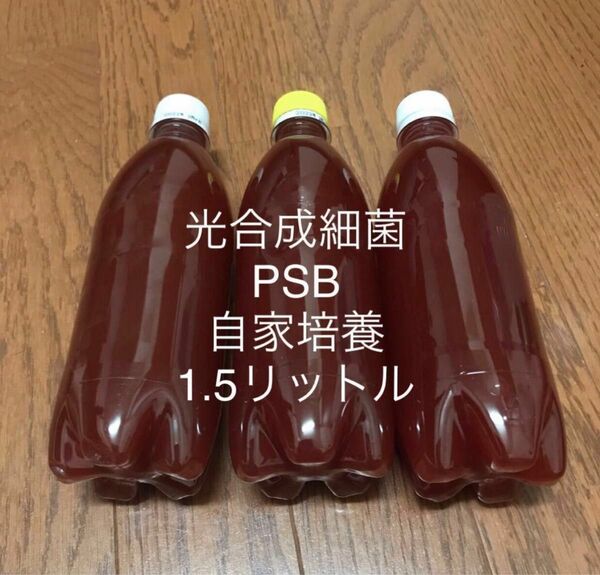 光合成細菌 ＰＳＢ 1.5リットル（500ml×3）自家培養