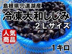 ☆大人気・贈答品にも　島根県宍道湖産　大和しじみ　特大サイズ　１キロ　 生冷凍　砂抜き済み　簡単レシピ付き♪