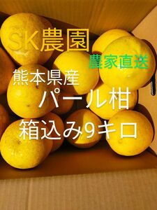 熊本県産　パール柑　箱込み9キロ 訳あり