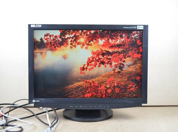 4665　EIZO　FlexScan　S2110W　21.1型ワイド　非光沢　ディスプレイ