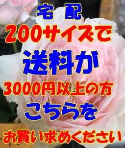 送料としてお買い求めください　　日本全国同一金額　　200サイズで送料が3000円以上の方ヤフネコ宅急便　C２００