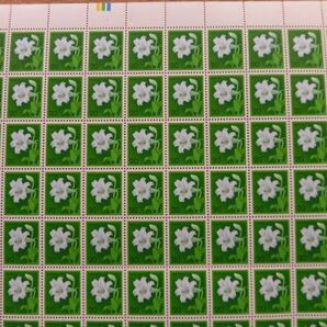 動植物切手  テッポウユリ  20円×100枚 1シート 額面2,000円  発行年度不明 半分に折っての保管の画像4
