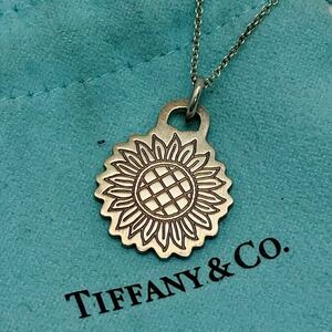 ☆【売り切り】Tiffany&Co.（ティファニー）GO WOMEN 2020 シルバーネックレス Ag925 袋付き