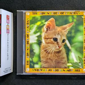 子猫物語 オリジナルサウンドトラック CD ／ 坂本龍一、上野耕路、野見祐二、渡辺蕗子の画像1