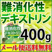 難消化性デキストリン 水溶性食物繊維 400g 微顆粒品 メール便 送料無料_画像1