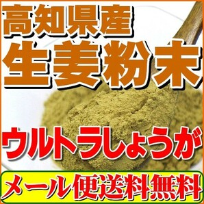 生姜 粉末 しょうが パウダー 100ｇ 高知県産ウルトラ生姜 殺菌蒸し工程 1cc計量スプーン入り メール便 送料無料の画像1