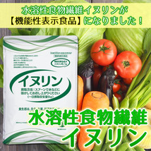 機能性表示食品 イヌリン 500g 水溶性食物繊維 メール便 送料無料 お通じ改善 腸内フローラ改良 整腸作用 中性脂肪対策 血糖値対策に！_画像4