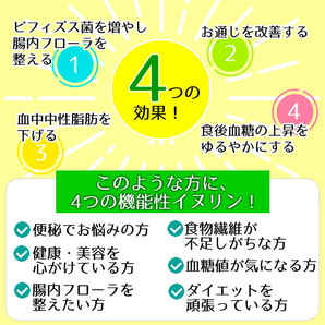 機能性表示食品 イヌリン 500g 水溶性食物繊維 メール便 送料無料 お通じ改善 腸内フローラ改良 整腸作用 中性脂肪対策 血糖値対策に！の画像6