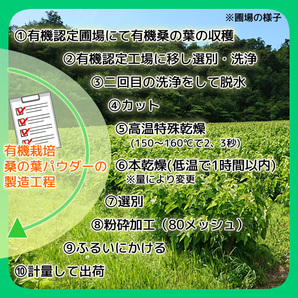 桑の葉パウダー 100g 桑の葉青汁 桑の葉茶 粉末 有機栽培 オーガニック 京都府産 国産 送料無料の画像8