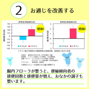 機能性表示食品 イヌリン 500g 水溶性食物繊維 メール便 送料無料 お通じ改善 腸内フローラ改良 整腸作用 中性脂肪対策 血糖値対策に！の画像9