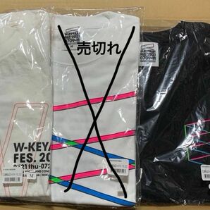【櫻坂46】バラ売り可能 新品Tシャツ W-KEYAKI 2枚セット