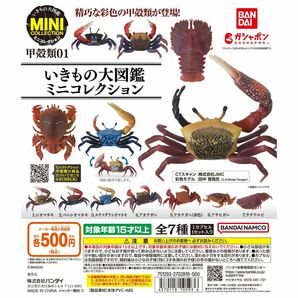 いきもの大図鑑ミニコレクション 甲殻類01　 アサヒガニ