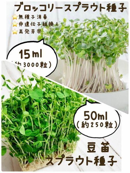 【種子2種セット】ブロッコリースプラウト15ml & 豆苗 50ml