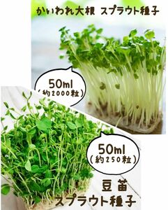 【種子2種セット】豆苗 50ml＆かいわれ大根スプラウト50ml