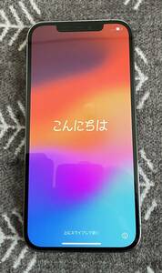 ［1円よりスタート］Apple iPhone12 Pro Max 128GB SIMフリー　グラファイト