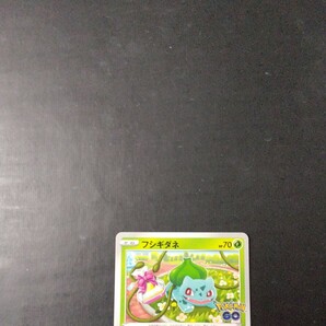 ポケモンカード フシギダネの画像2