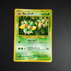 ポケモンカード旧裏 傷汚れ有り 　キレイハナ